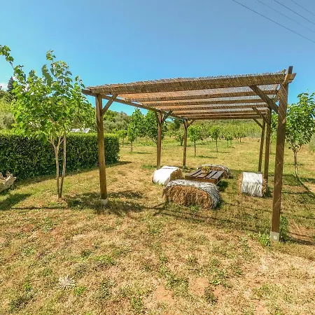 Apartment Bed & Bike Casa Dei Papi *