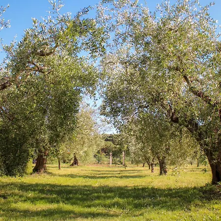 Bed & Bike Casa Dei Papi * ポルトフェッラーイオ