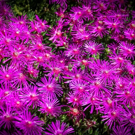Apartment Bed & Bike Casa Dei Papi Portoferraio