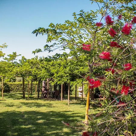 Bed & Bike Casa Dei Papi *