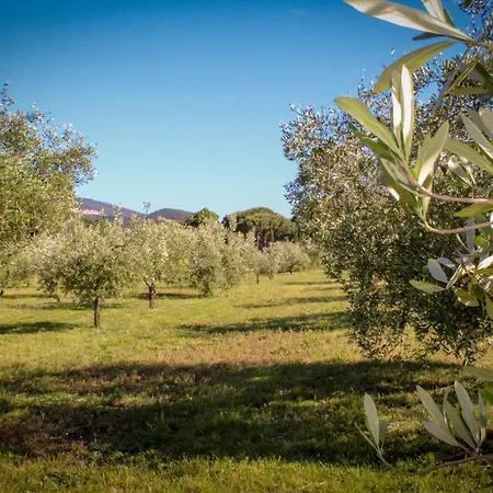 Bed & Bike Casa Dei Papi ポルトフェッラーイオ