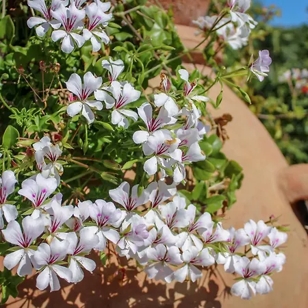 Bed & Bike Casa Dei Papi アパート *