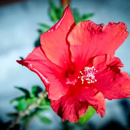 アパート Bed & Bike Casa Dei Papi