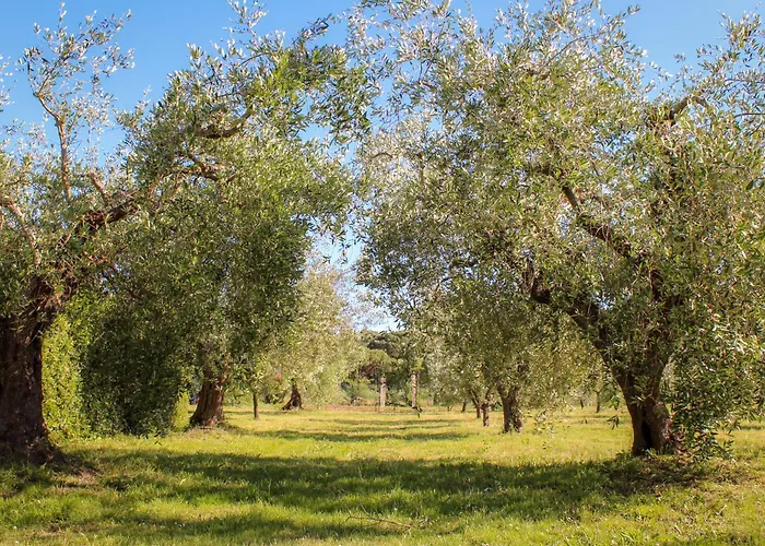 Bed & Bike Casa Dei Papi * Portoferraio