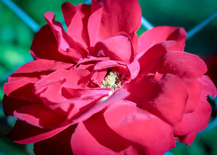 Bed & Bike Casa Dei Papi Appartement
