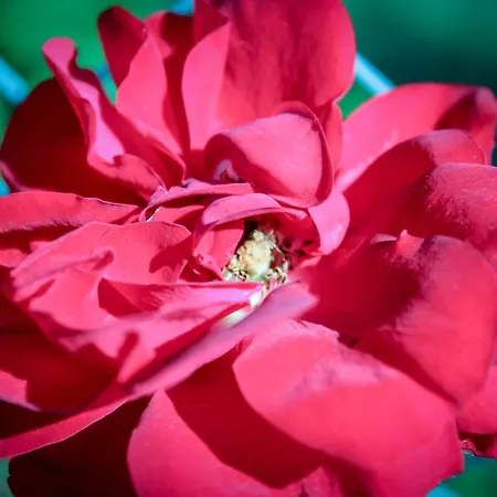 Bed & Bike Casa Dei Papi شقة