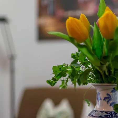 Bed & Bike Casa Dei Papi