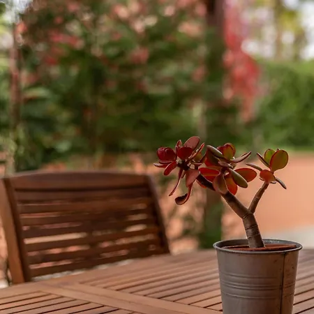 Bed & Bike Casa Dei Papi Портоферрайо