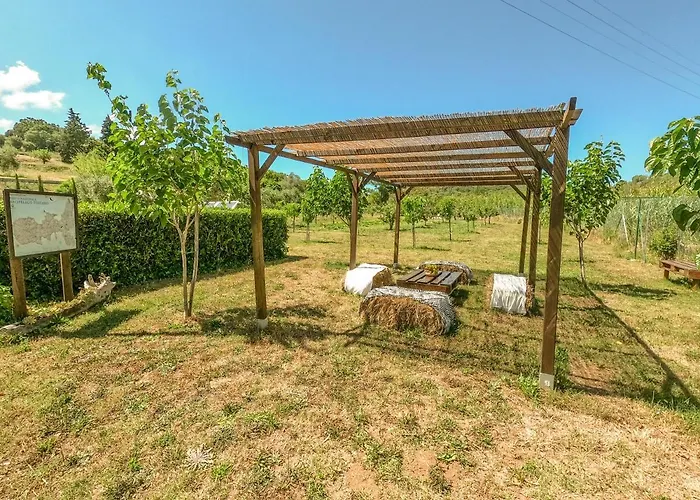 Apartment Bed & Bike Casa Dei Papi *