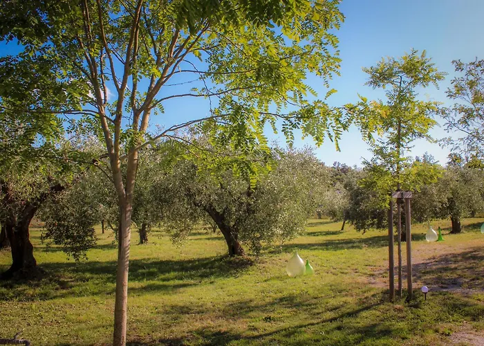 Апартаменты Bed & Bike Casa Dei Papi