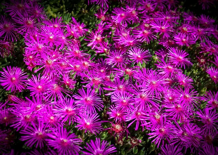 Апартаменты Bed & Bike Casa Dei Papi Портоферрайо