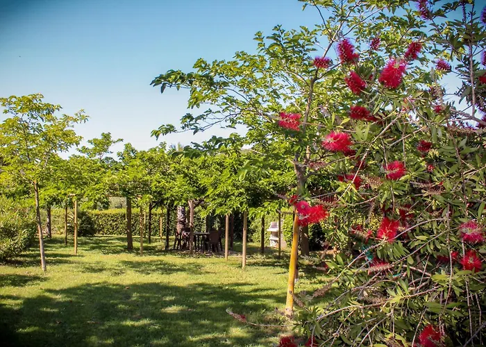 Bed & Bike Casa Dei Papi *