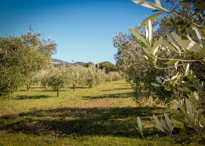 Bed & Bike Casa Dei Papi Портоферрайо