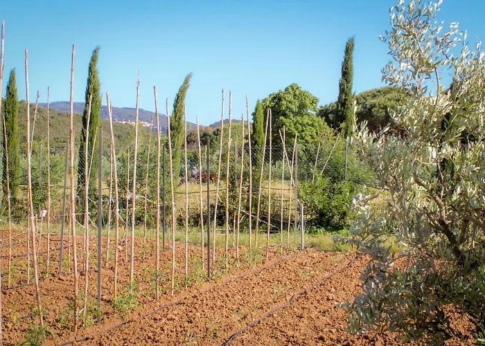 Bed & Bike Casa Dei Papi * Портоферрайо