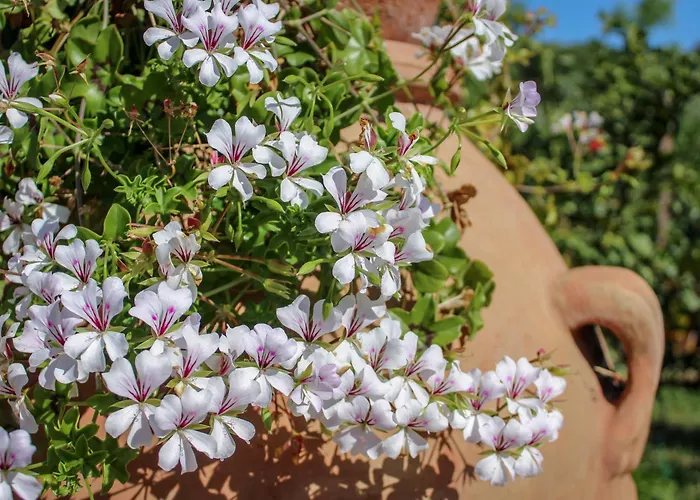 Bed & Bike Casa Dei Papi Апартаменты *