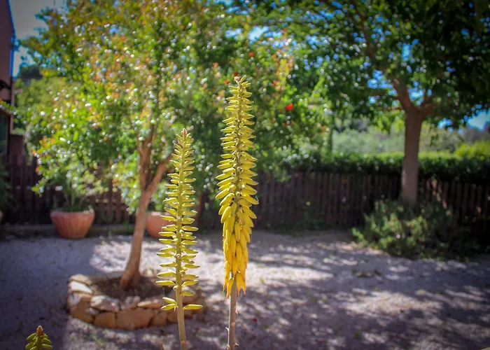 Апартаменты Bed & Bike Casa Dei Papi *