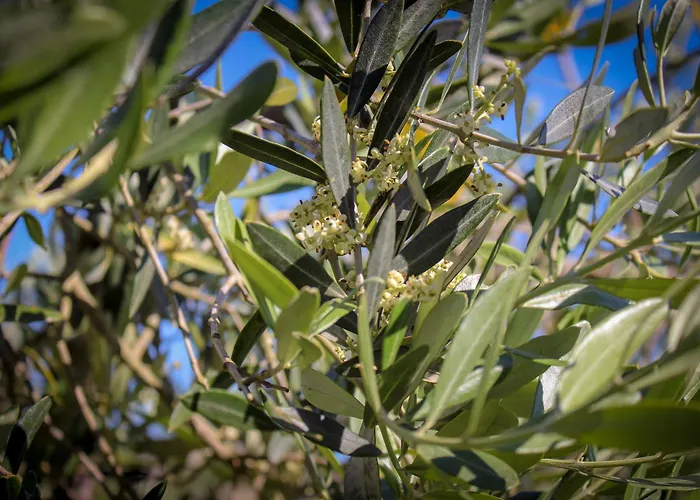 Апартаменты Bed & Bike Casa Dei Papi Портоферрайо