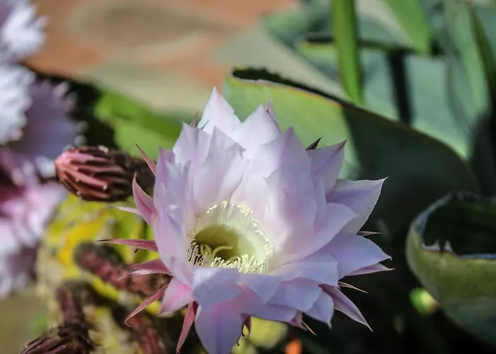 Bed & Bike Casa Dei Papi * Портоферрайо