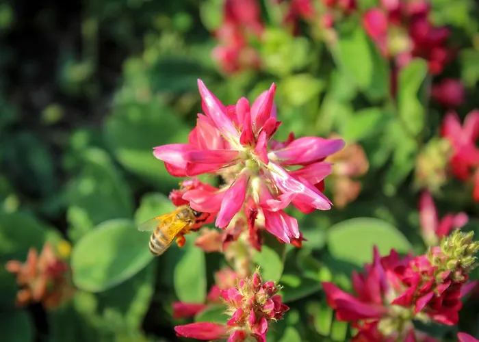 Bed & Bike Casa Dei Papi