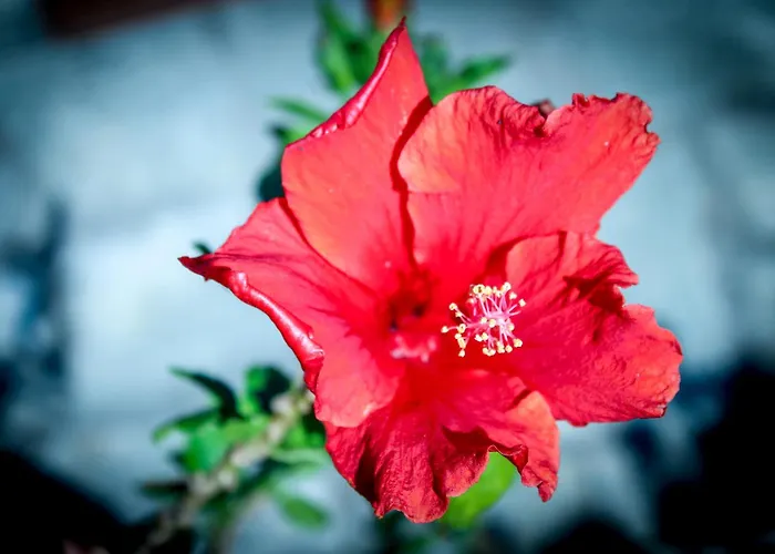 Apartament Bed & Bike Casa Dei Papi