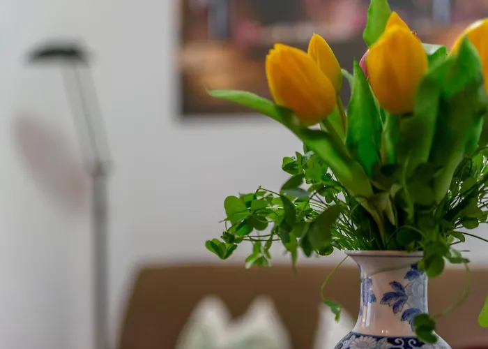 Bed & Bike Casa Dei Papi