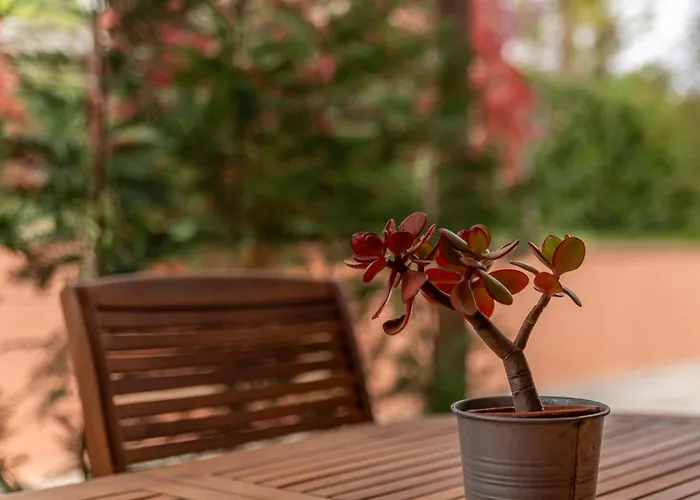 Bed & Bike Casa Dei Papi Portoferraio
