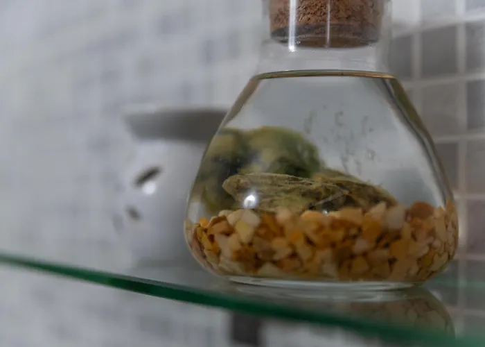 Апартаменты Bed & Bike Casa Dei Papi