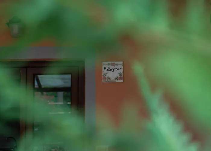 Bed & Bike Casa Dei Papi