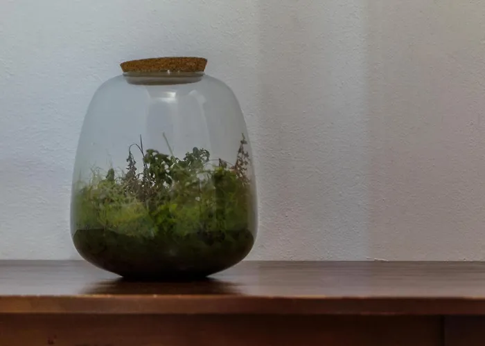 Bed & Bike Casa Dei Papi *