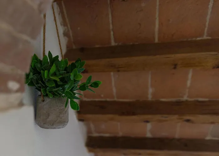 Apartament Bed & Bike Casa Dei Papi *