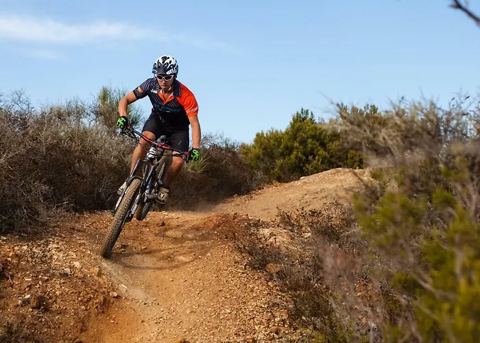 Bed & Bike Casa Dei Papi *