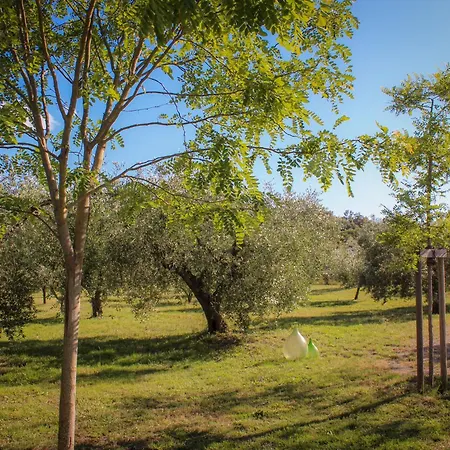 Διαμέρισμα Bed & Bike Casa Dei Papi
