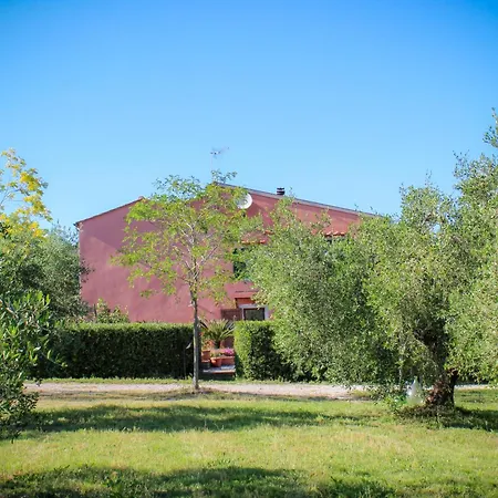 Bed & Bike Casa Dei Papi Διαμέρισμα Portoferraio