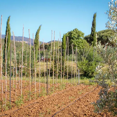 Bed & Bike Casa Dei Papi * Portoferraio