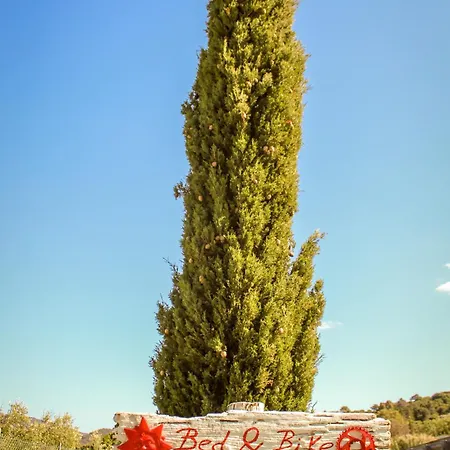 Διαμέρισμα Bed & Bike Casa Dei Papi