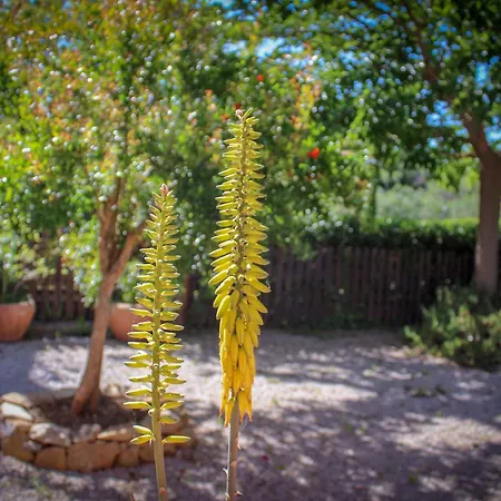 Διαμέρισμα Bed & Bike Casa Dei Papi *